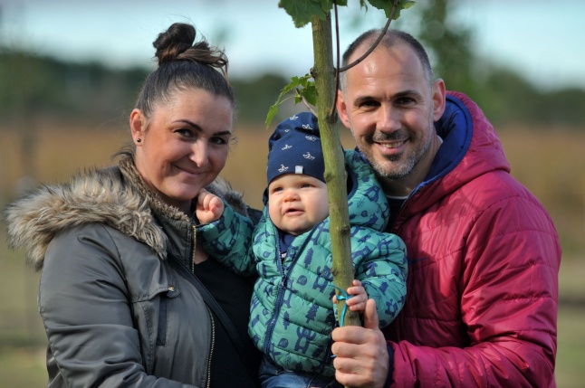 Faültetés az Újélet-fa Ligetben - fotó Szarka Lajos
