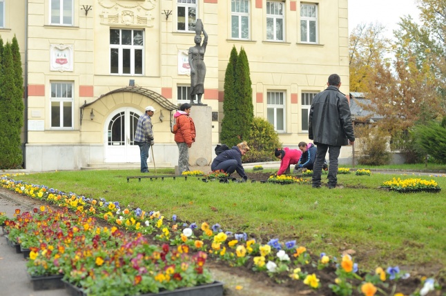 Park gondozás Sóstón - fotó Szarka Lajos