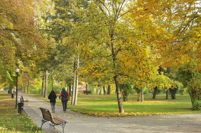 Sóstói ősz - fotó Szarka Lajos