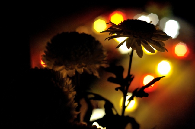 Emlékezés Fényei - fotó Szarka Lajos