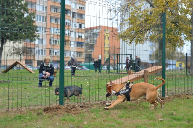 Kutyafuttató átadás a Széna téren - fotó Szarka Lajos
