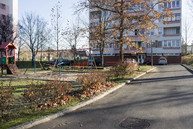 Új aszfalt a Kodály Zoltán utcán - fotó Szarka Lajos