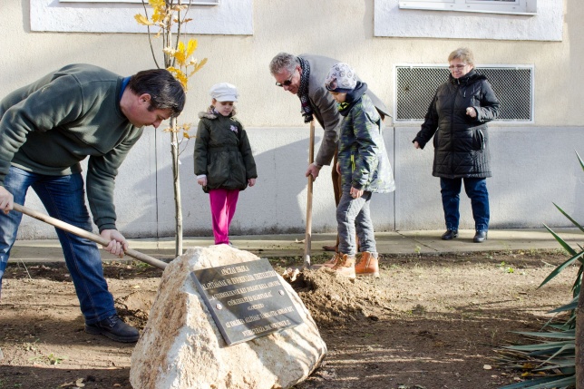 Emlékfa ültetés az Apáczai iskolában - fotó Szarka Lajos