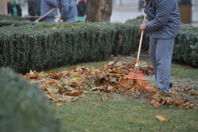 Várost szépítenek a fogvatartottak - fotó Szarka Lajos
