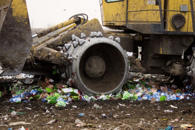 Dohányba gázoltak - fotó Szarka Lajos