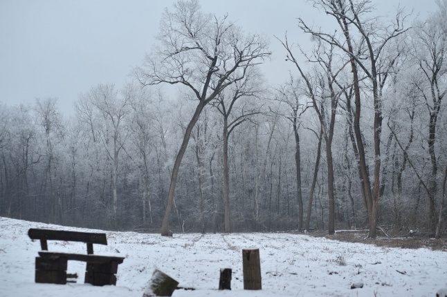 Téli mese képekben - fotó Szarka Lajos