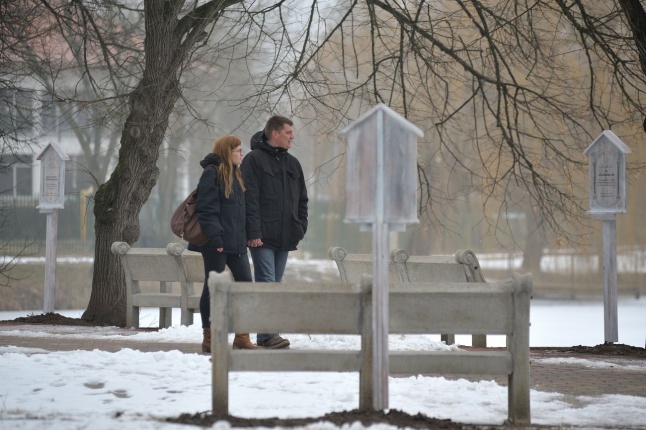 Házaspárok útja Sóstón - fotó Szarka Lajos