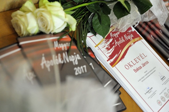 Magyar Ápolók Napja 2017 - fotó Szarka Lajos