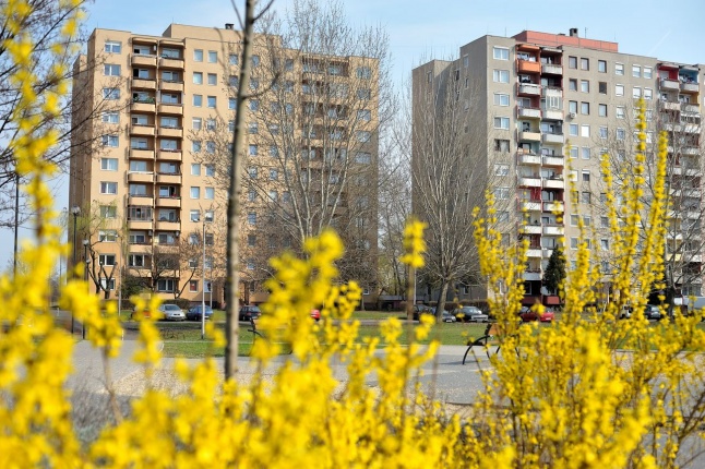 Örökösföldi tavasz kezdet - fotó Szarka Lajos