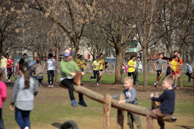 Tavasz a Mórában - fotó Szarka Lajos