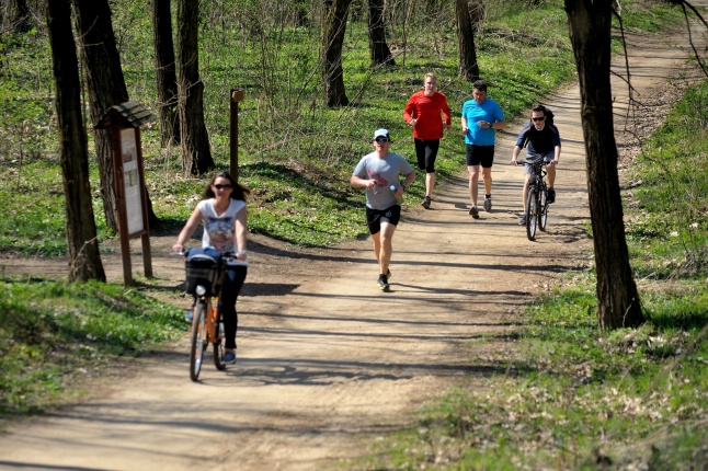 Tavasz a Sóstói Parkerdőben - fotó Szarka Lajos