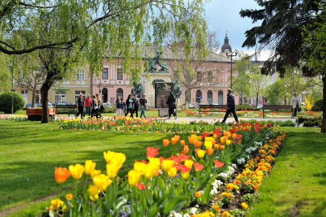 Tavaszi pillanatok - fotó Szarka Lajos