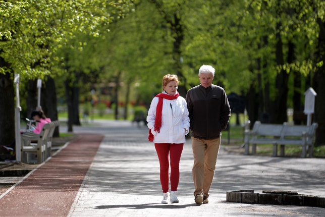 Kizöldült a Sóstó