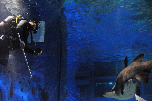 Állatparki kulisszák - fotó Szarka Lajos