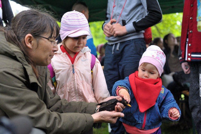 Madarak és Fák Napja 2017 - fotó Szarka Lajos