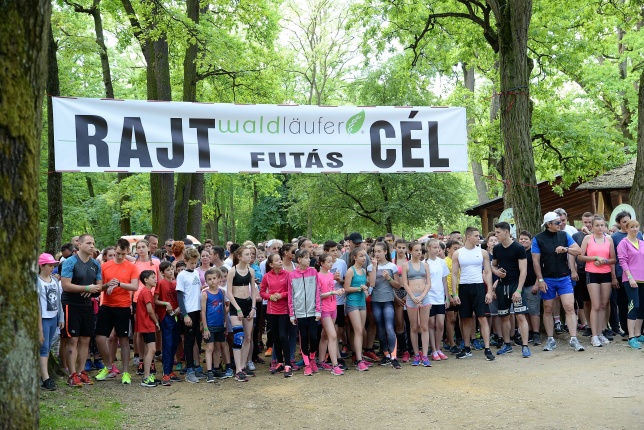 Waldläufer futás a tornapályán