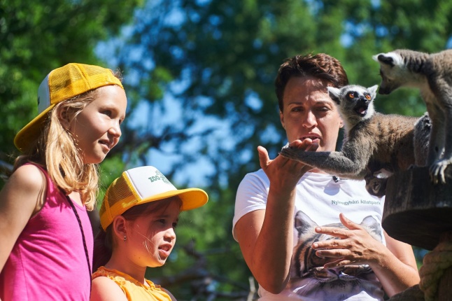 Zootábor az állatparkban - fotó Szarka Lajos