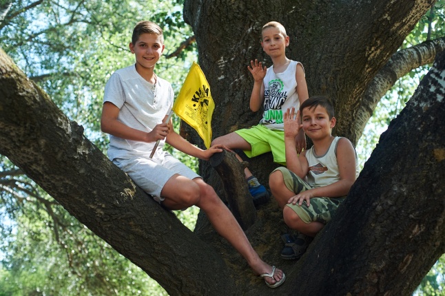 Nyári Kisvakond tábor - fotó Szarka Lajos