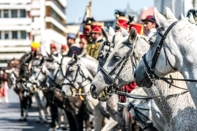 Jubileumi Huszártalálkozó Nyíregyházán - fotó Kohut Árpád