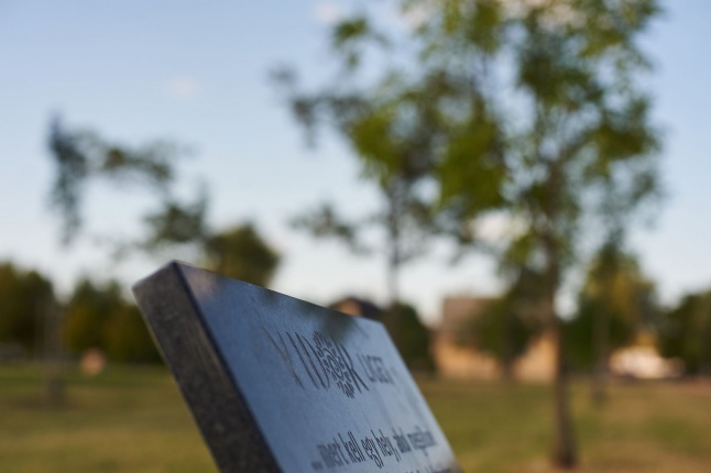 Emlékezés a VIDOR Ligetben - fotó Szarka Lajos