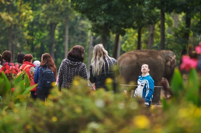 ÉFOÉSZ nap az Állatparkban - fotó Szarka Lajos