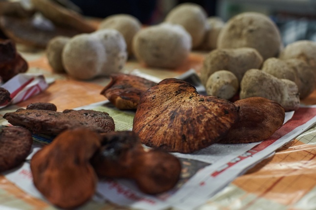 Gombaszezon a piaccsarnokban - fotó Szarka Lajos