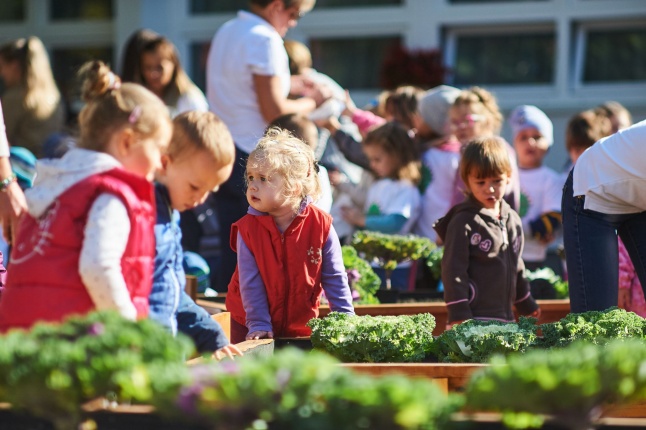 Megnyílt a Tündérkert - fotó Szarka Lajos