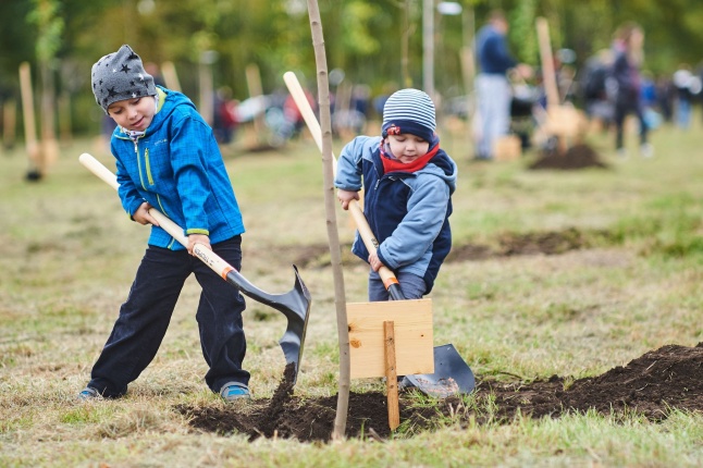 Faültetés az Újéletfa-ligetben 2017 - fotó Szarka Lajos