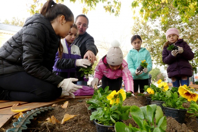 Virágültetés a belvárosban Petőfis diákokkal - fotó Szarka Lajos