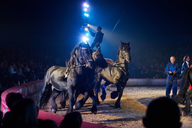 Richter Flórián Cirkusz Nyíregyházán - fotó Szarka Lajos