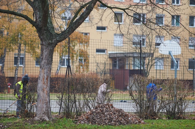 Játszótér tisztítás a Korányi közben - fotó Szarka Lajos