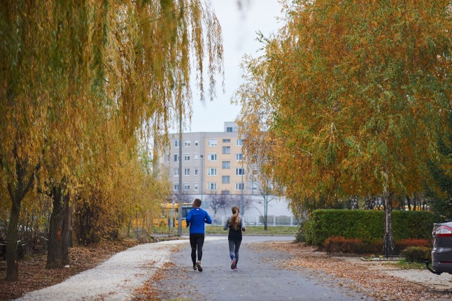Thököly utca aszfaltozása - fotó Szarka Lajos