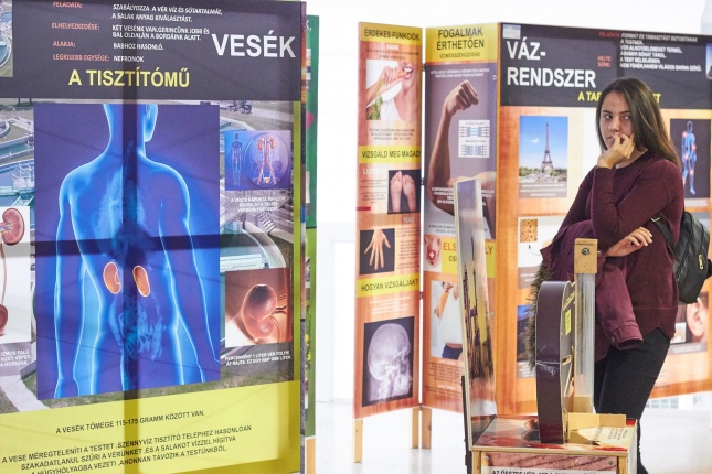 Testünk a csoda kiállítás - fotó Szarka Lajos