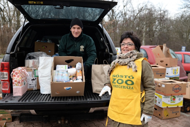 100 forintos nap az Állatparkban - fotó Trifonov Éva
