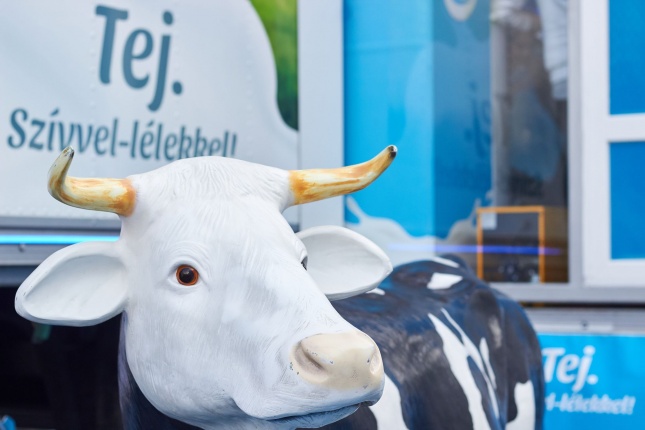 A Tej útja - fotó Szarka Lajos