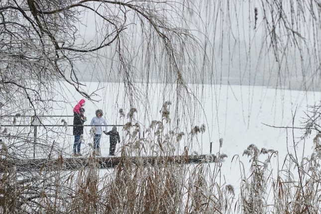 Csodás téli Sóstó - fotó Szarka Lajos