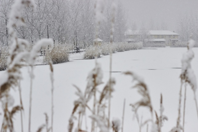 Csodás téli Tüskevár - fotó Szarka Lajos