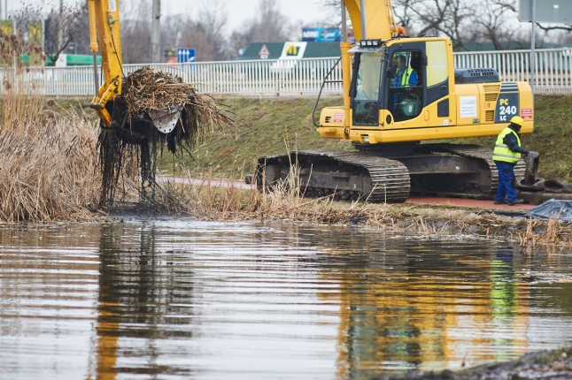 Kotrás a Bujtos tavon - fotó Szarka Lajos