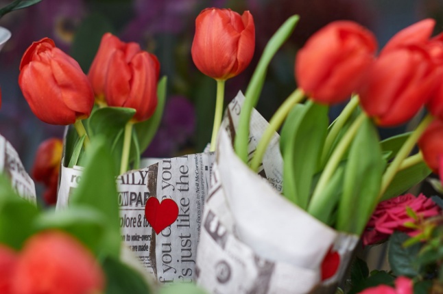 Nőnap 2018 - fotó Szarka Lajos