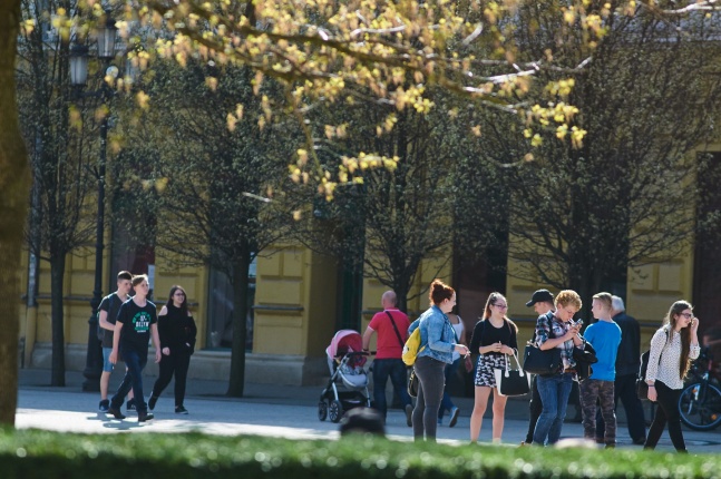 Az első tavaszi pillanatok - fotó Szarka Lajos