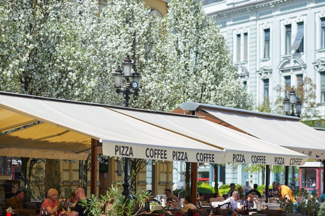 Nyár a tavaszban - fotó Szarka Lajos