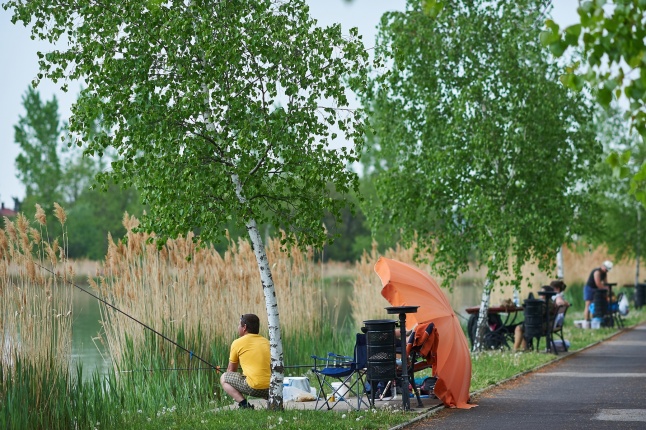 Ünnepi horgászat a Tüskevárnál - fotó Szarka Lajos