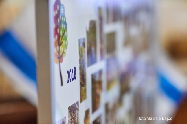 Ünnepség a Megyeházán - fotó Szarka Lajos