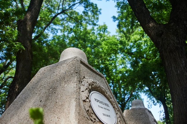 Emlékezés a Hősök Temetőjében - fotó Szarka Lajos