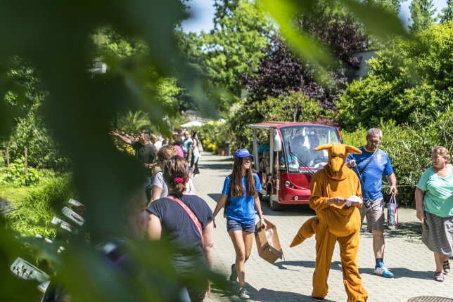 Családok éve gyermeknapi program az Állatparkban - fotó Kohut Árpád