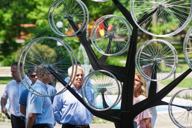 Bringafa Sóstón - fotó Szarka Lajos