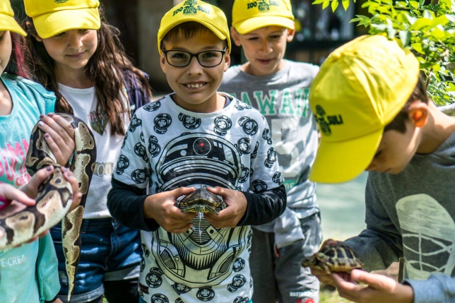 Zoo Suli a Nyíregyházi Állatparkban - Fotó Kohut Árpád