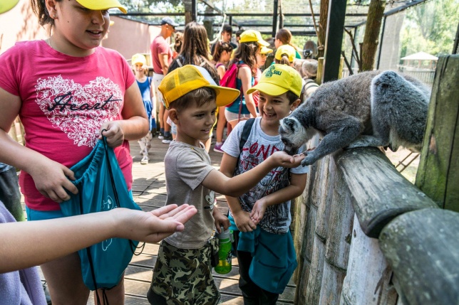 Nem unatkoznak a diákok a Zoo Suliban - fotó Kohut Árpád