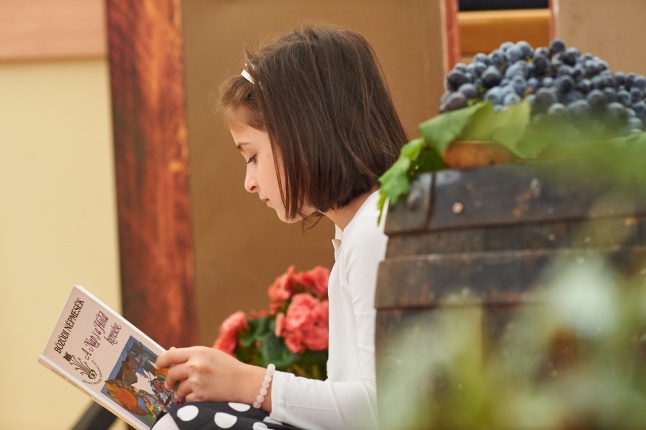 Magyar Népmese Napja 2018 - fotó Szarka Lajos