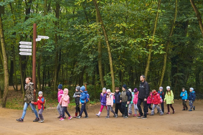 Ismerd meg az erdőt - fotó Szarka Lajos